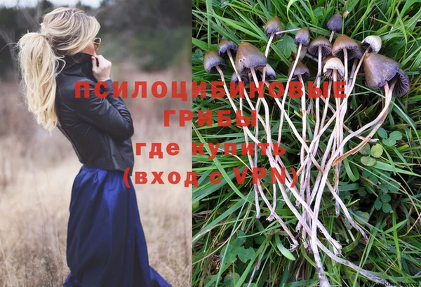 ешки Козловка