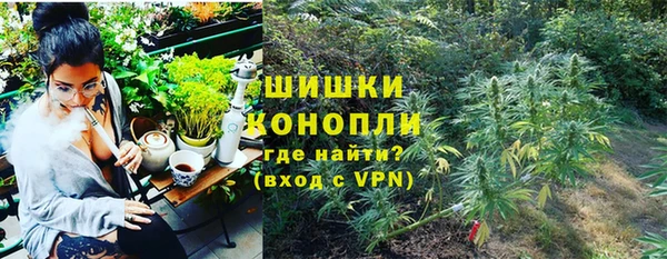 ешки Козловка